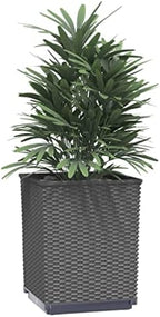 Planter Set of 4 Black Polypropylene Medium Decorative Inlays Succulent pots Geometric Design pots Cactus potsGeometric planters for Indoor Backyard - Image 3