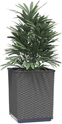 Planter Set of 4 Black Polypropylene Medium Decorative Inlays Succulent pots Geometric Design pots Cactus potsGeometric planters for Indoor Backyard - Image 3