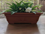 18" Inch Terracotta Style Window Box Plastic Planter - Rectangular Large Flower Boxes for Outdoor Plants, Lightweight Clay-Look, Indoor Herb Gardens & Willow Sills, Durable, Patio, Garde (10) - Image 6