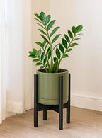 D'vine Dev Ceramic Pot with Ebony Wood Stand, Olive, 8 in, 55-B-M-J - Image 2