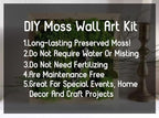 Preserved Reindeer Moss Natural Green DIY Kit Gardenning Art Wall Decor Florist Decor Easter Table Decor Wedding - Image 3