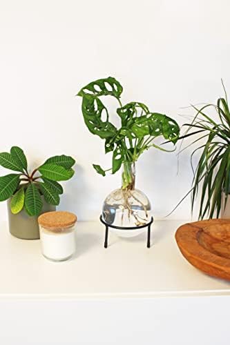 Winkee - Hydrovase Flora | Flower Vase with Metal Stand | Table Planter | Modern Decoration | Glass Propagation Station | Cut-Out Plants Glass | Root Glass Vase | Gift for Mother's Day, Birthday - Image 4