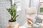 Premium Zamioculcas Plant Soil Mix by Gardenera - Stimulate Growth and Elevate Elegance with Nourishing Formula - 5 Quart - Image 2