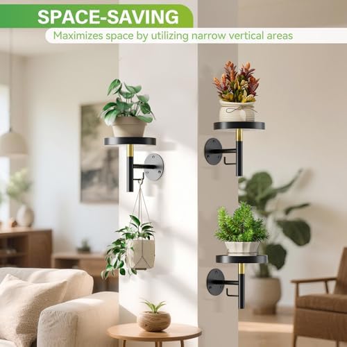 DELLAN Wall Plant Holder, 3 Pack Metal Stand, BlackGold - Image 3