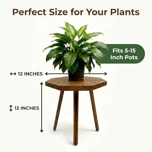 amzwkt 2 Pack Plant Stand for Indoor, 12x12in Large Octagon Wooden Plant Stand, Mid Century Modern Boho Stool for 5-15 Inch Pots, Sturdy Planter Stands - Image 2