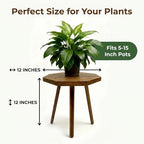 amzwkt 2 Pack Plant Stand for Indoor, 12x12in Large Octagon Wooden Plant Stand, Mid Century Modern Boho Stool for 5-15 Inch Pots, Sturdy Planter Stands - Image 2