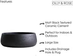 Olly & Rose Copenhagen Large Ceramic Planter Bowl Shallow Plant Pot - Matt Black Flower Pot Indoor and Outdoor Garden Décor… - Image 5