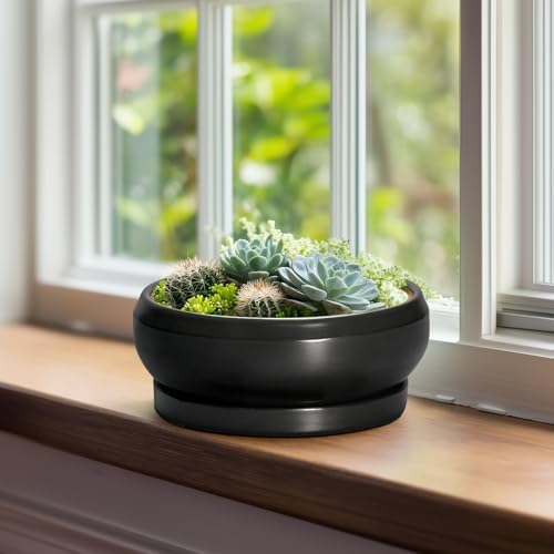 Succulent Planters 8 Inch - Ceramic Bonsai Pots for Indoor Outdoor, Round Succulent Pots with Drainage Hole and Saucer, Modern Shallow Planter Bowl, Garden Home Decor, Birthday Gifts, Black - Image 3