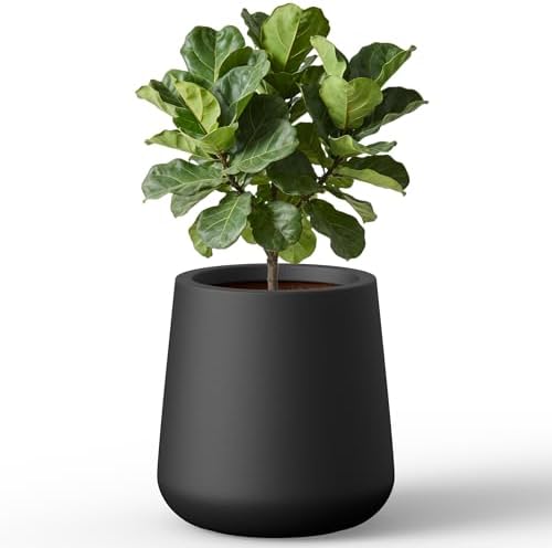 Kante Small Round Curved Black Concrete Planter 11.8" Dia, Outdoor by Unknown