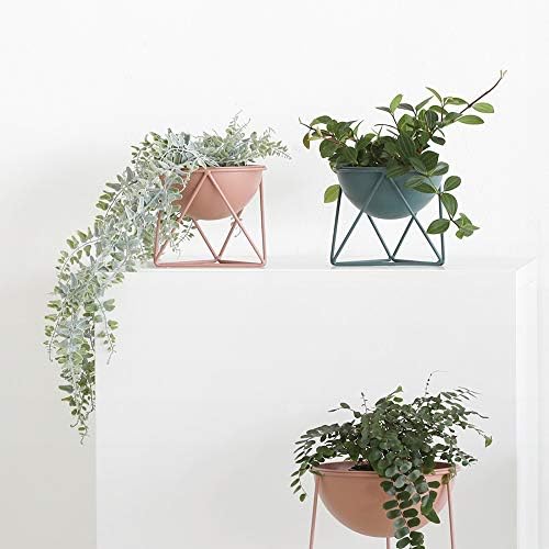 ルームアンドホーム Room and Home Pot Cover, Stand, Decorative Plants, Gardening, D Type, Green, Small, 6.3 x 6.9 x 5.7 inches (16 x 17.5 x 14.5 cm) - Image 2