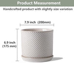 8 Inch Plant Pots: Ceramic Planter with Drainage Hole & Saucer - Flowerpot for Indoor & Outdoor Plants - Beaded Embossed Design White - with Separate Tray - Image 2