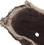 Abaodam Imitation Tree Root Cement Planter for Indoor Plants and Bonsai - Image 3