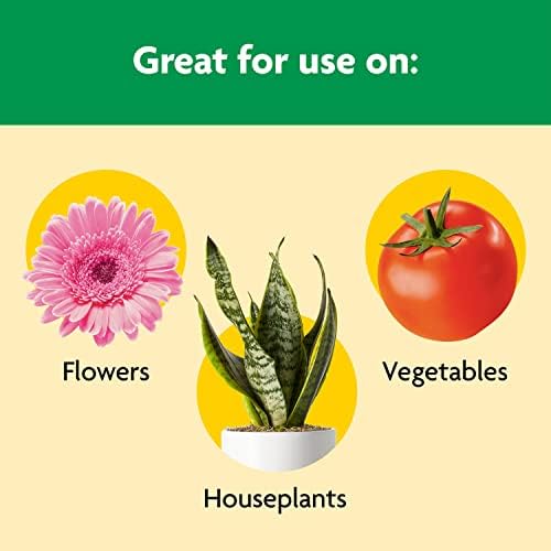 Miracle-Gro Shake 'N Feed All Purpose Plant Food - Outdoor and Indoor Plant Food for In-Ground and Containers, Feeds for up to 3 Months, 8 lbs. (Pack of 4) - Image 5