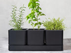 D'vine Dev 2-Pack Plastic Herb Garden Planter Set, Black, 76-V-B-2 - Image 4