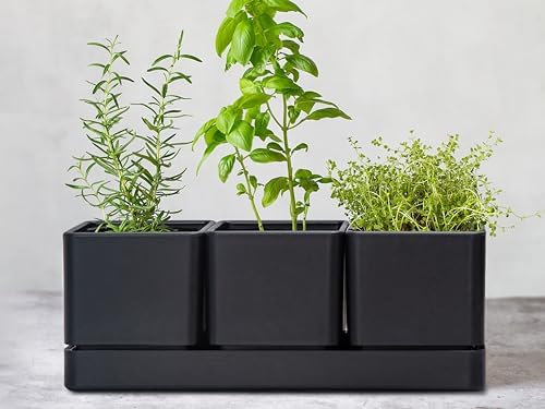 D'vine Dev 2-Pack Plastic Herb Garden Planter Set, Black, 76-V-B-2 - Image 4
