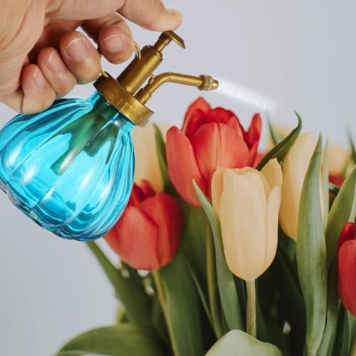 Plant Watering Bottle Easy to Use Design Vintage 2pcs Glass with Spray Function for Flowers and Vegetables for Home Garden Watering and Decoration - Image 6