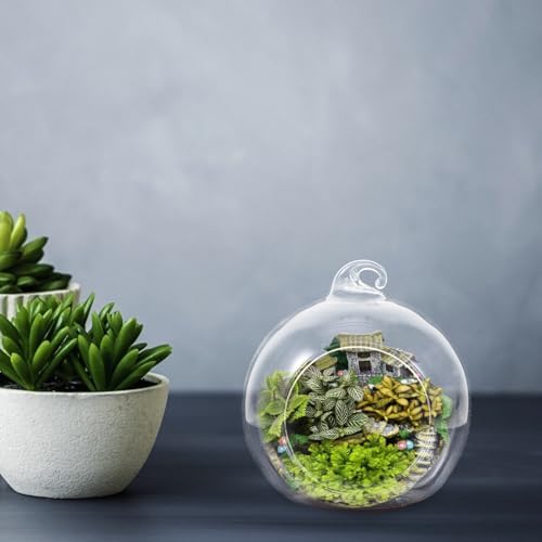 12pcs Globe Glass Terrarium Hanging Plant Planter for Micro Landscapes - Image 4