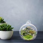 12pcs Globe Glass Terrarium Hanging Plant Planter for Micro Landscapes - Image 4