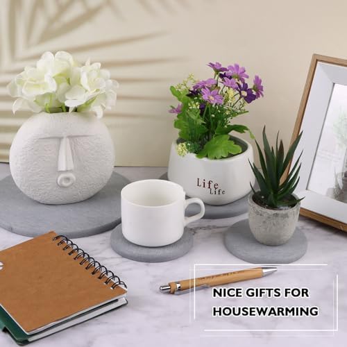 12Pcs Diatomaceous Earth Coaster 4/6/8inch Diatomite Plant Saucer Stone Plant Sourcer Instant Dry Water Absorbent Diatomite Tray Water Absorbent Plant Coasters Diatomaceous Earth Mat Absorbent Pad - Image 6