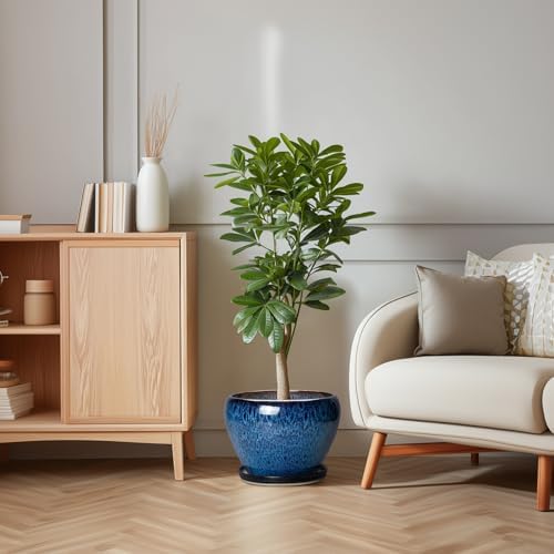 10 Inch Plant Pot, Ceramic Planter with Drainage and Saucer, Blue - Image 6
