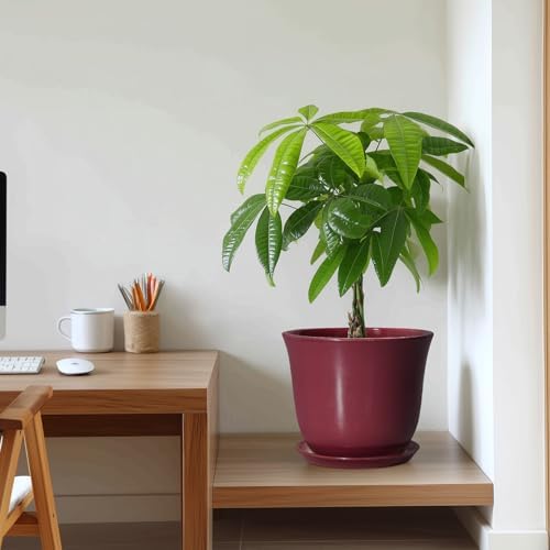 Ceramic Plant Pots, 10 Inch Plant Pot, Red - Image 6
