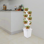 Hydroponics Tower Indoor Growing System,7-Tier 35-Hole Vertical Garden Planter,Herb Garden Kit with 2.64Gal Water Tank,Automatic Water Circulation Pump for Gardening Lover (White-A) - Image 3