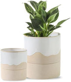 Nihow Self Watering Ceramic Planter, 4.5+6 Inch, White & Nature by Nihow
