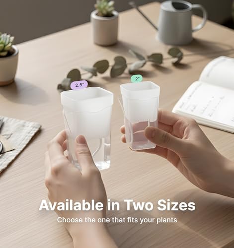 12 Pack 2" Small Clear Self Watering Pots with Humidity Dome for Indoor Plants, Seed Starter Cups, Tissue Culture Acclimation Kit,Alocasia Corm Propagation,African Violet,Cuttings,Seedlings - Image 2