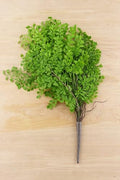 Richland Fern Bush 18" Artificial Maidenhair Set of 12 by Richland