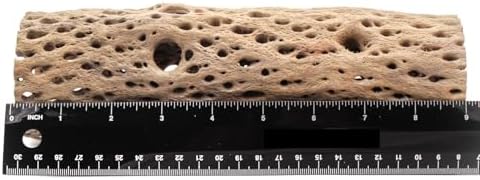 3, 6, 9, 12 Inch All Natural Teddy Bear Cholla Wood Extra Hollow Untreated Organic Aquarium Driftwood Decoration Chew Toy Shrimp Crab Cichlid Nano Tank Birds 1 or 5 Pieces (1 Piece, 9 inch) - Image 2