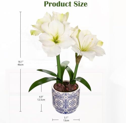 Briful Amaryllis Artificial Flowers in Blue Ceramic Pot 18.1" Faux White Amaryllis Flower Arrangement with Decorative Bulbs Moss Silk Amaryllis Plant for Home Office Bathroom Table Décor - Image 2