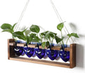 Plant Terrarium Hanging Propagation Stations Gift for Women by YYHglass