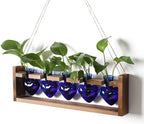 Plant Terrarium Hanging Propagation Stations Gift for Women by YYHglass