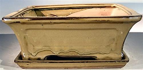 Bonsai Boy L245 Ceramic Bonsai Pot Olive Green - Rectangle by Bonsai+Boy