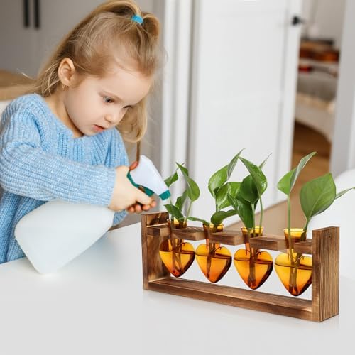 Plant Propagation Stations Heart Plant Terrarium Kit - Image 5