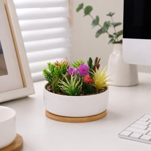 LUOZZY White Ceramic Succulent Planter Pot with Bamboo Tray for Indoor - Image 6