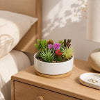 LOGOFUN White Ceramic Succulent Planter Pot with Bamboo Tray - Round - Image 3