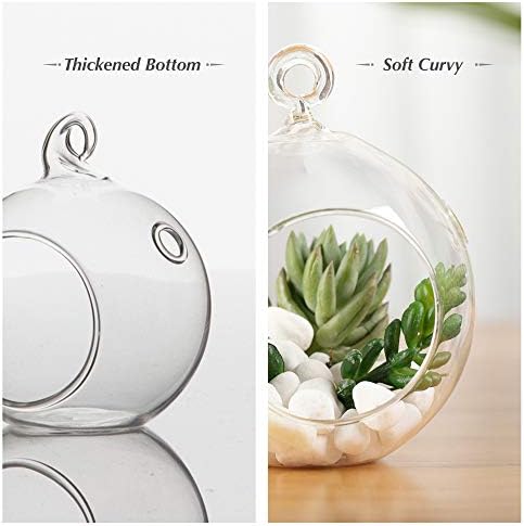 WGV Hanging Terrarium Globe, Width 4", Height 4.75", DIY Air Succulent Planter, Clear Glass Vase Orb with Flat Bottom, Candle Holder for Windowsill Outdoor Garden Decor, 12 Pieces Bulk - Image 3