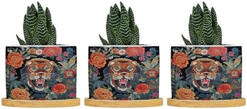 Chinoiserie Tiger Planters Ceramic Green and Turquoise Tiger Stripe Round Plant Pot with Drainage Holes and Bamboo Tray Pot for Succulents Cactus Garden Windowsill by BRUYU5SE