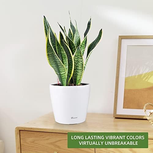 Dexceder 9x8 Self Watering Planter (White High Gloss) - Image 6