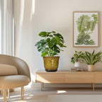 Ceramic Planter, 8 Inch Plant Pot for Indoor Plants, Yellow - Image 7