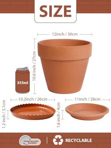 INGOFIN 12 Inch Terracotta Pot with Saucer - Ceramic Clay Pot for Plants with Drainage Hole, Large Terra Cotta Flower Planter with Tray for Indoor Outdoor Plants - Image 2