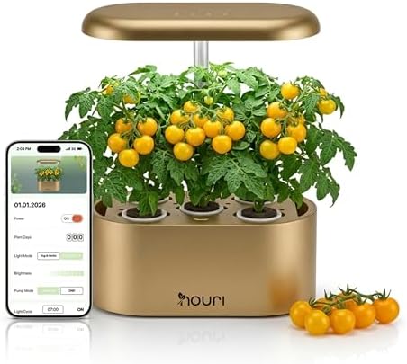 Nouri Hydroponics Growing System, 5 pod APP Smart Indoor Herb Garden Kit with LED Grow Lights, Hydroponic Herb Garden Indoor for Plant Lovers, Gardeners, Kitchen, Lettuce Seeds Included by Nouri
