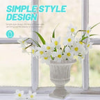 STOBAZA Flower Vase Hydroponic Plants Bottle Simple Vase Flower Arrangement Bottle for Home Office Bathroom Indoor Decor 6.29 X 5.11 X 5.11 in - Image 3