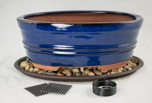 8.25" Oval Dark Blue Stain Glazed Bonsai Pot, Cactus & Succulent Planter + Tray + Rock + Mesh and Wire Combo (658-8B Combo) by Unknown