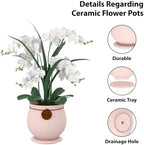 8.3 Inch Pink Ceramic Planter with Drainage Hole and Saucer - Image 3