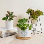Mughal Flower Ceramic Planters Light Blue Flower Flower Pots for Indoor Plants with Drainage Holes and Saucers Pot for Outdoor Garden Home Plant - Image 4