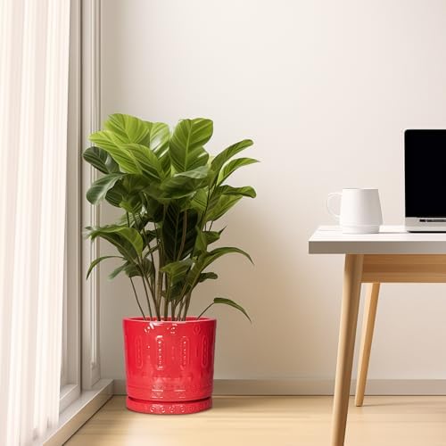 Eightpot 10 Inch Plant Pot, Ceramic Pots for Plants for Indoor Outdoor Plants, Round Planter with Drainage Hole and Tray, Boho Decorative Flower Pots, Front Porch Decor, Gifts for Plant Lovers, Red - Image 7