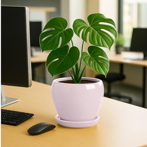 Deep Dream 8 Inch Plant Pots- Ceramic Pots for Plants with Drainage Hole and Saucer, Large Planter Pot for Indoor Plants Outdoor Decor, Pink - Image 4