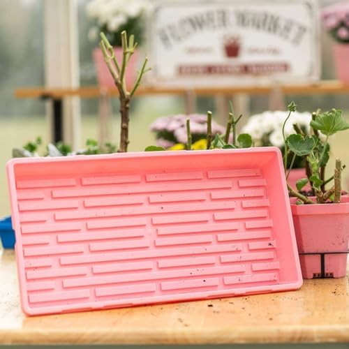 Bootstrap Farmer 1020 Trays, 10 Pack, Pink - Heavy-Duty 2.5" Deep Flats Without Holes for Microgreens, Fodder, Hydroponics - Image 2